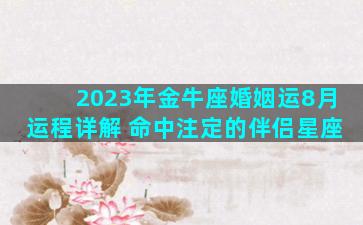 2023年金牛座婚姻运8月运程详解 命中注定的伴侣星座